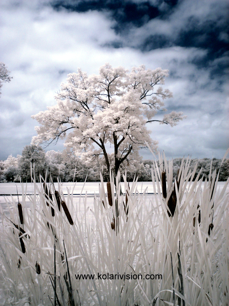 Kolari Vision Infrared photography digital fale color photoshop tutorial