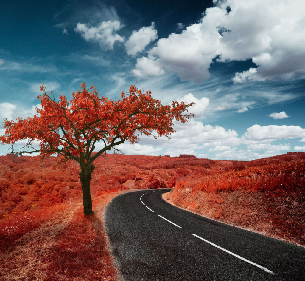 yann philippe infrared infrarouge 148